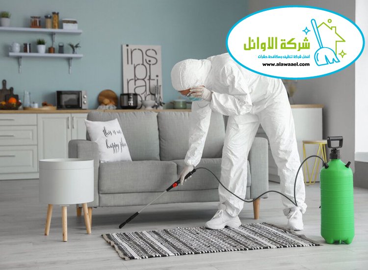 شركة تعقيم في العين شركة تعقيم في العين