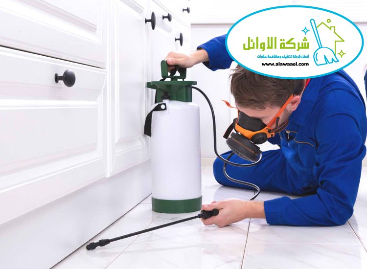 مكافحة حشرات