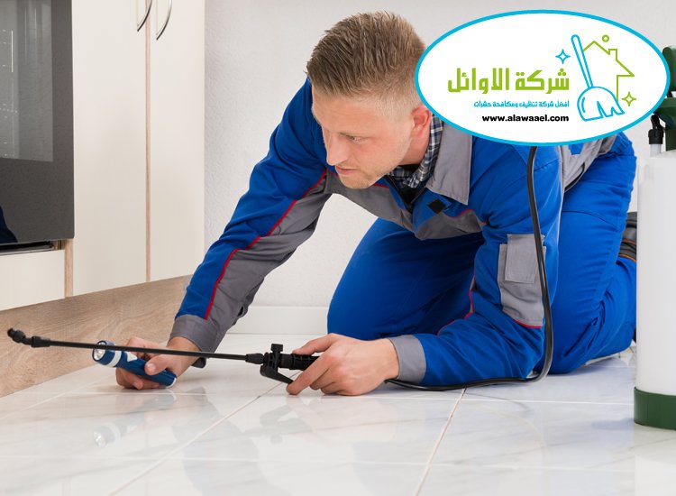 شركة مكافحة حشرات في الرويس 