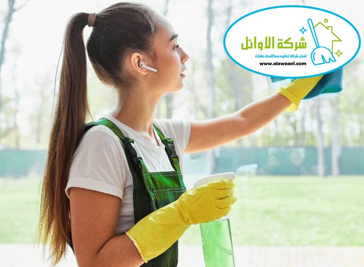 شركة تنظيف منازل في القوع