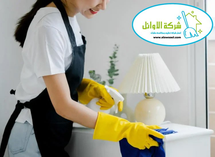 شركة تنظيف منازل في نعمة شركة تنظيف منازل في نعمة