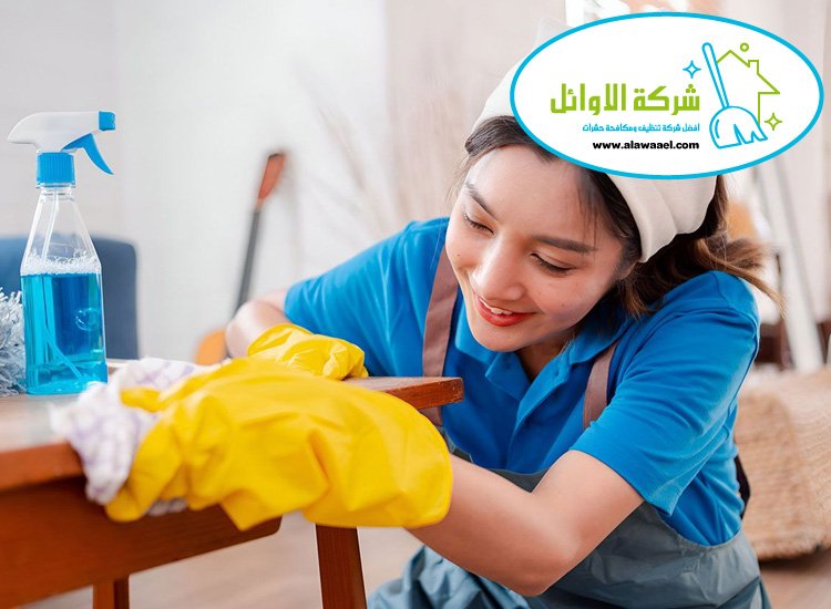 شركة تنظيف منازل في مزيد شركة تنظيف منازل في مزيد