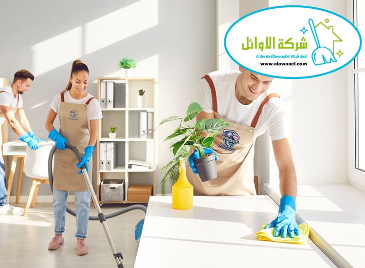 شركة تنظيف منازل في المرخانية شركة تنظيف منازل في المرخانية