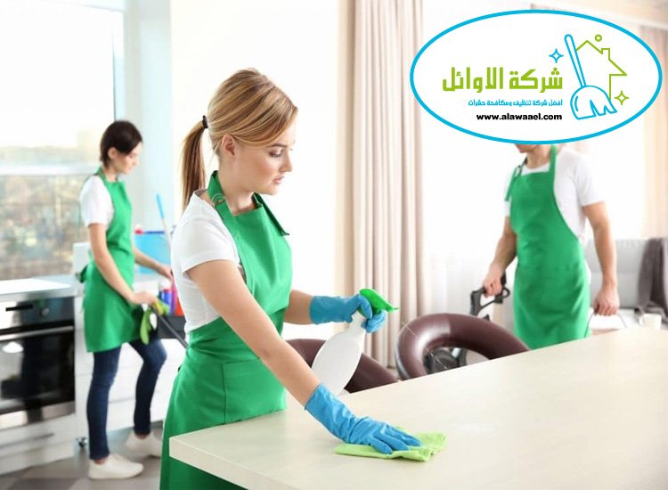 شركة تنظيف منازل في الشويب شركة تنظيف منازل في الشويب