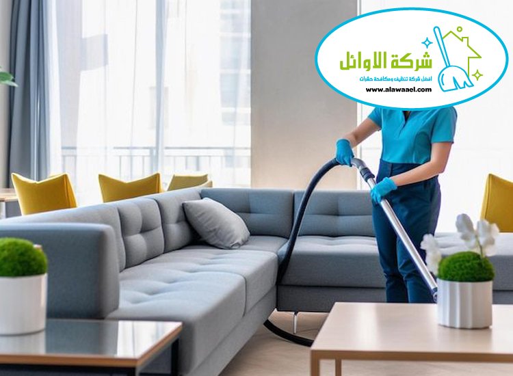 شركة تنظيف فلل في جزيرة الريم
