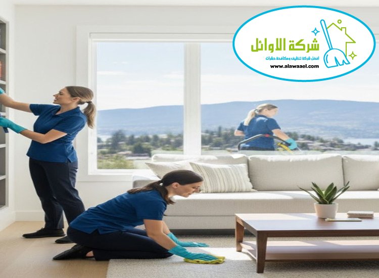 شركة تنظيف فلل في الفلاح شركة تنظيف فلل في الفلاح