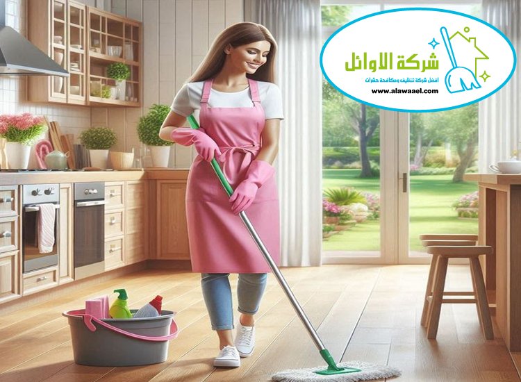شركة تنظيف فلل في الباهية شركة تنظيف فلل في الباهية