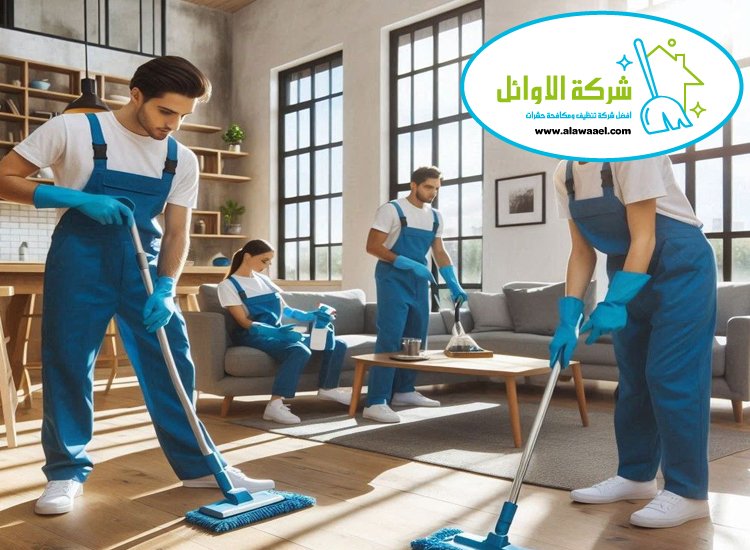 شركة تنظيف فلل في الباهية شركة تنظيف فلل في الباهية