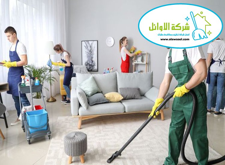 شركة تنظيف فلل في الباهية