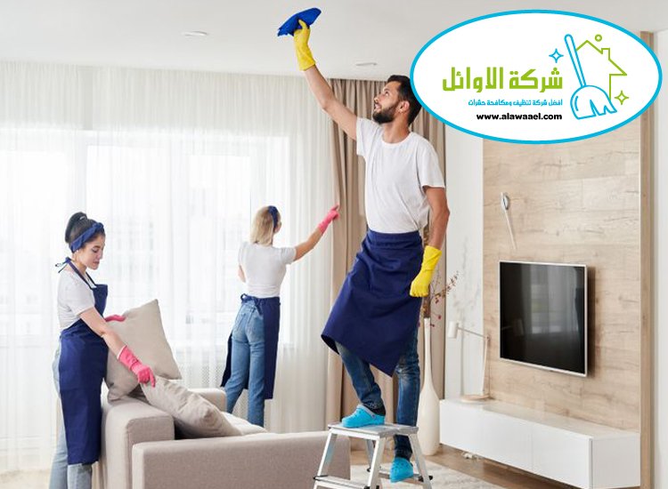شركة تنظيف فلل في الراحة شركة تنظيف فلل في الراحة